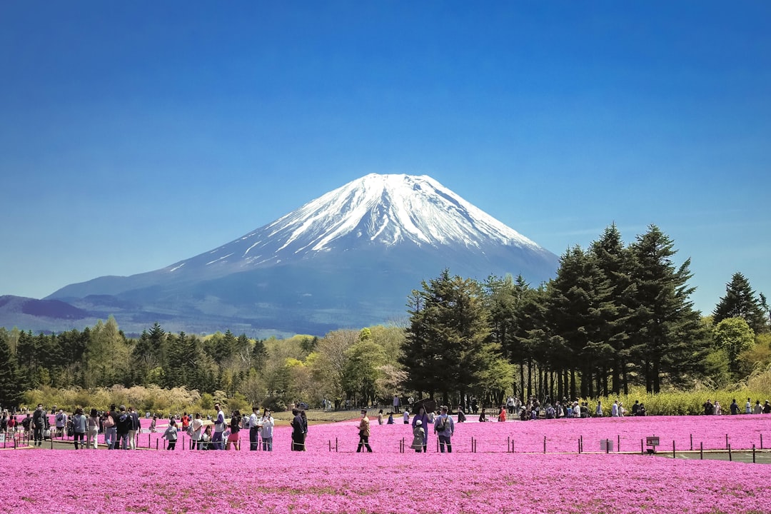 山梨で薬剤師が転職するなら？求人事情と探し方